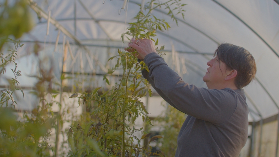 Empire Line — Pilot